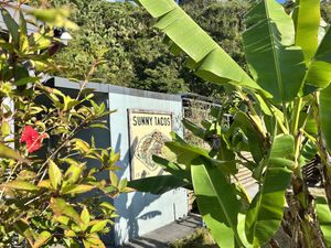   at Sunny Tacos in Okinawa