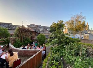 view of our green garden  at Yak & Yeti in Truro