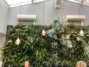 Green Wall  at Salads and Smoothies in Lund