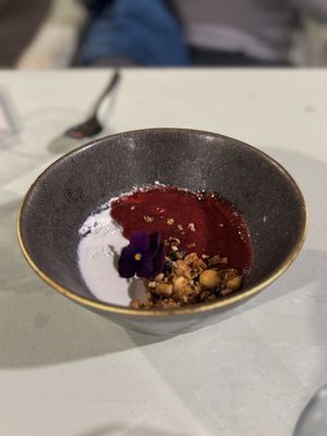   at TERRA in Funchal