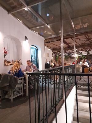  at TERRA in Funchal