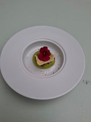  at TERRA in Funchal