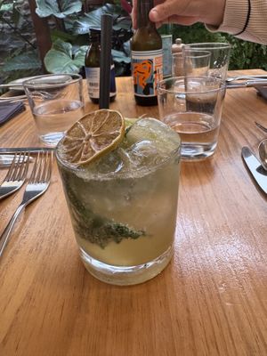   at TERRA in Funchal