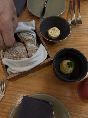   at TERRA in Funchal