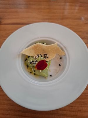  at TERRA in Funchal