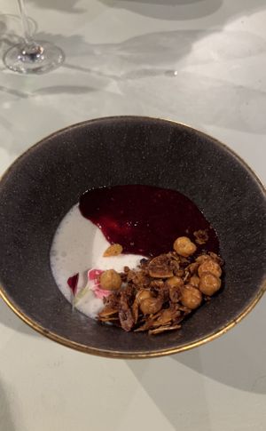   at TERRA in Funchal