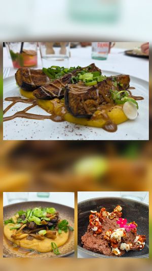  at TERRA in Funchal