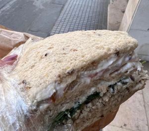 Tramezzino al “tonno” rucola e mayo  at Arcadia Caffe in Pisa