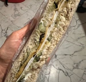 Tramezzino con formaggio vegano  at Arcadia Caffe in Pisa