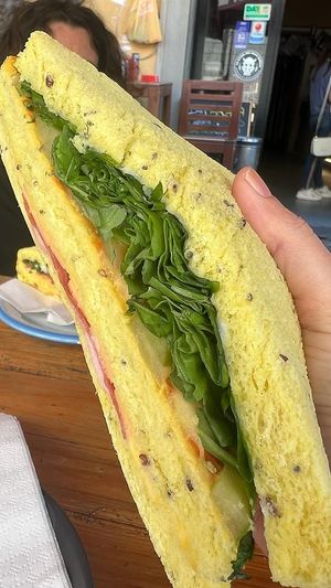   at Arcadia Caffe in Pisa