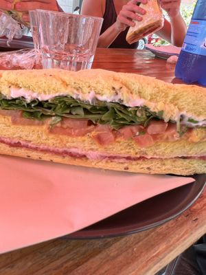   at Arcadia Caffe in Pisa