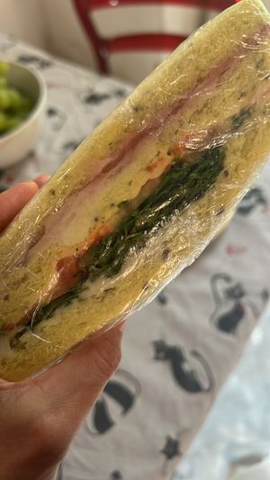   at Arcadia Caffe in Pisa