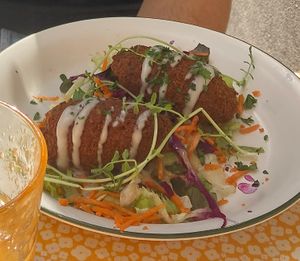 Falafel starter/entrée  at Hopen Source in Lille