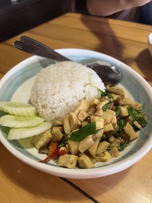 Spicy fried mushrooms and basil with rice at Malakor Kitchen and Cafe - ร้านมะละกอ in Ayutthaya