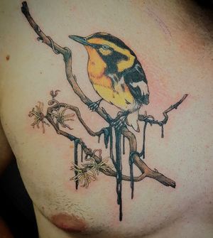  at Kreations Steinblume in Saint-adele