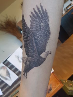  at Kreations Steinblume in Saint-adele