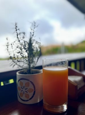   at Valle Escondido in Monteverde