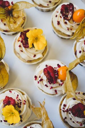 Vegan raspberry cupcakes with edible flowers  at Zola's Bakery in Galashiels