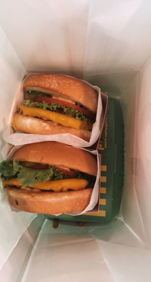 baggie  at Plantees in Orlando