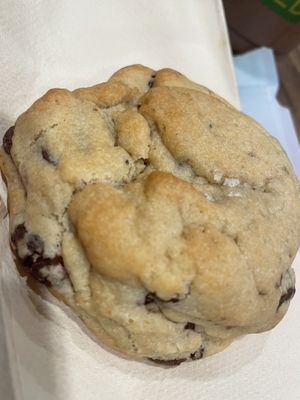 Cookie (kenzkookies)   at Plantees in Orlando