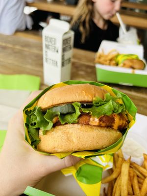 Buffalo chicken sandwich   at Plantees in Orlando