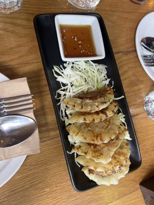 Pot stickers  at Kati Vegan Thai in Kirkland