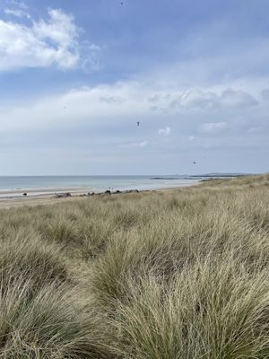   at Dreamboat in Rhosneigr