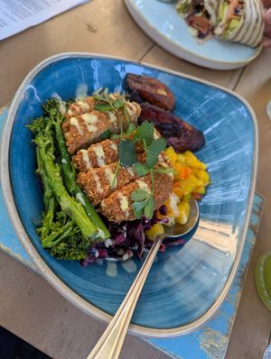 Vegan 'chicken' dish at Turtle Bay in Sheffield