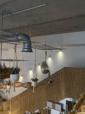   at Hanging Out Café in Hamburg