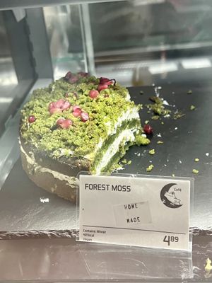   at Frogmoon in Aberdeen