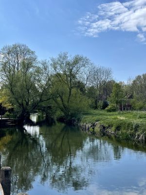 View at the back  at Fordwich Arms in Canterbury