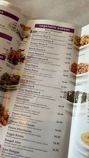 Vegan options clearly labelled  at The Little India in Chicago