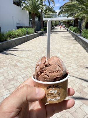 Bacci plant based ice cream    at Helamore in Gran Canaria