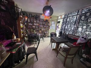   at Pachamama Magic Bistro in Humacao