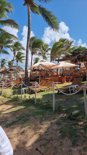 Amazing vegan moqueca at Sal Bar de Praia in Salvador