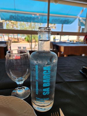 Ocean view at Sa Barca in Mallorca