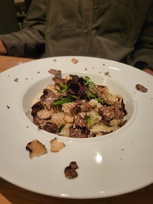 Pasta with truffle at Zum Lamm in Muggensturm
