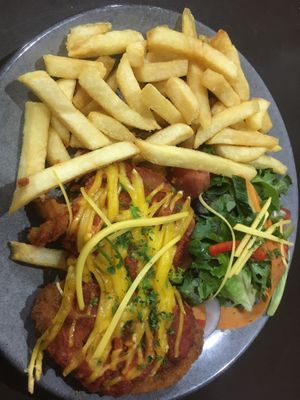 Schnitsel with salad and gravy .  at Sturgeon View in Dunkeld