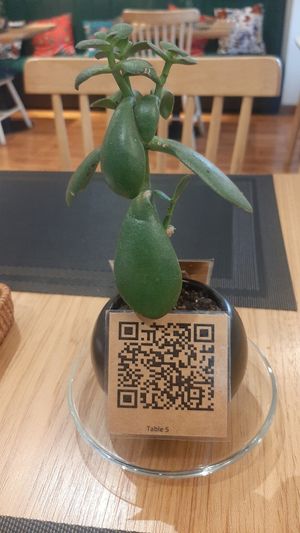 QR menu at Greeno in Ulaanbaatar