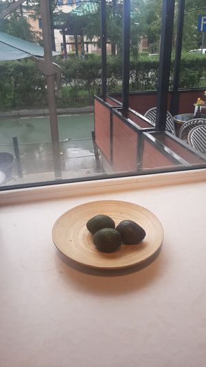  at Greeno in Ulaanbaatar