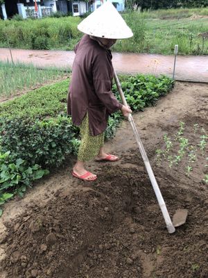   at Eat Hoi An in Hoi An