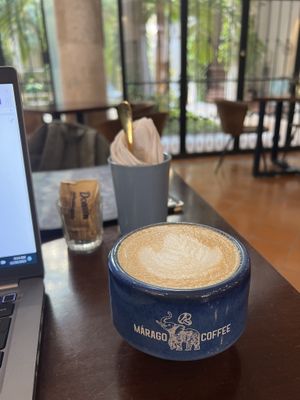   at Márago Coffee in Merida