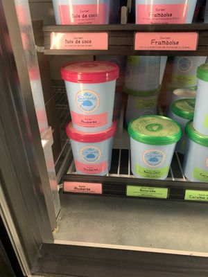 Sorbet et Vegan   at Les Givrés - Villeray in Montreal