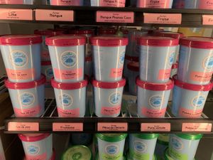 Sorbet  at Les Givrés - Villeray in Montreal