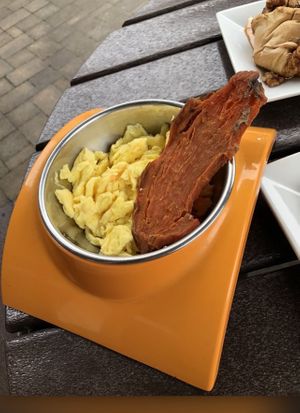 Dog friendly breakast- sweet potato treat & egg  at Watusi in Hilton Head Island