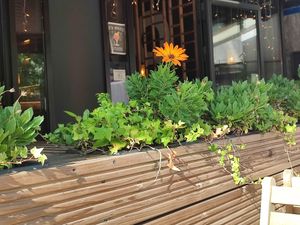  at TA Vegan House - Altona in Hamburg