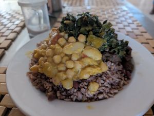 Medium plate of the day. Good for 2! at Calabash Ital Restaurant in Ocho Rios