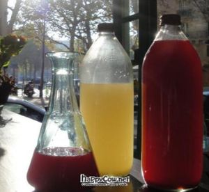  at Cafe Ginger in Paris