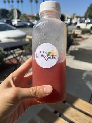 Watermelon aloe   at Lil' Vegerie in Redondo Beach