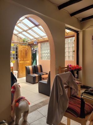 cosy interior at Llama Cafe in Cusco